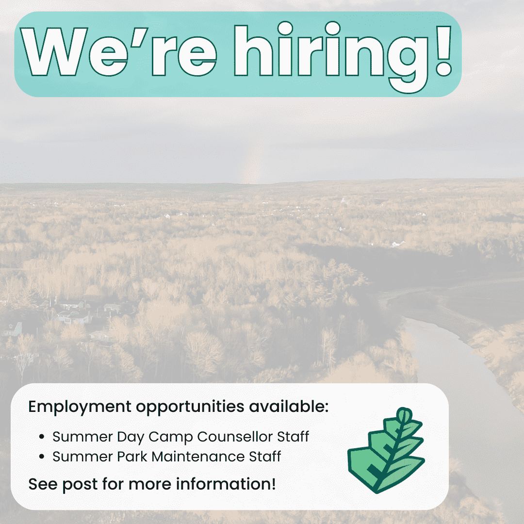 Were hiring 2024 1