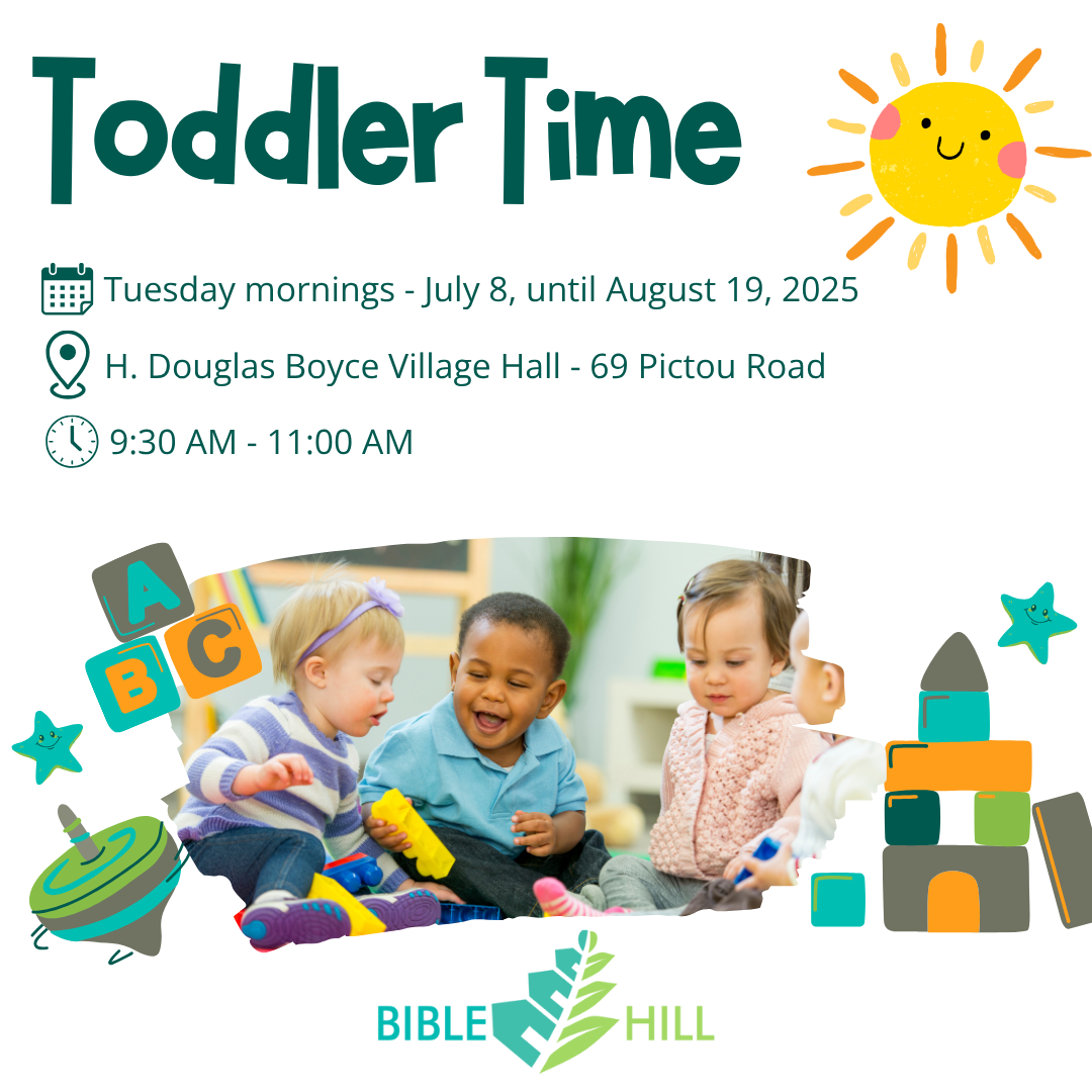 Toddler Playgroup